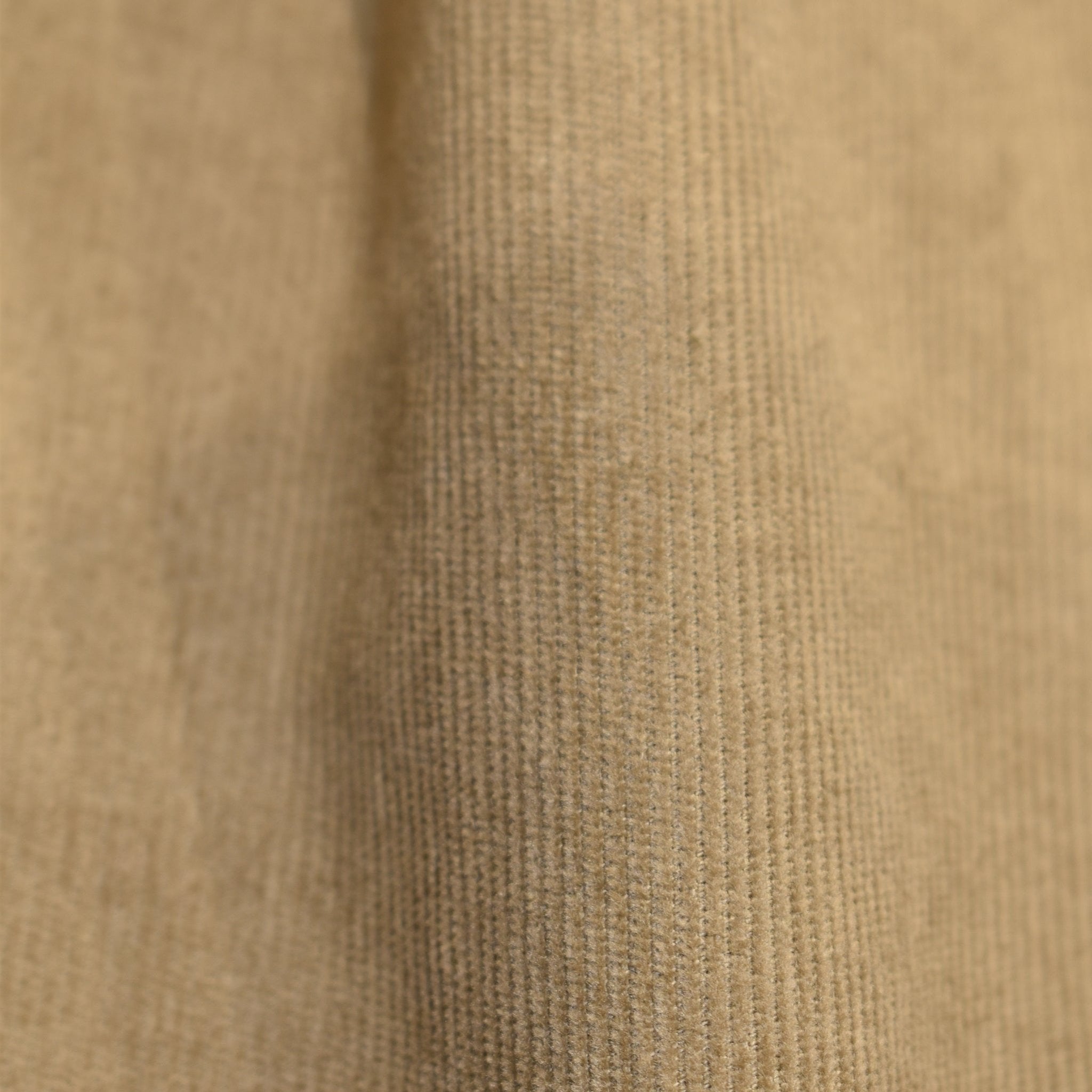 Pantavelluto beige - VALENSIA
