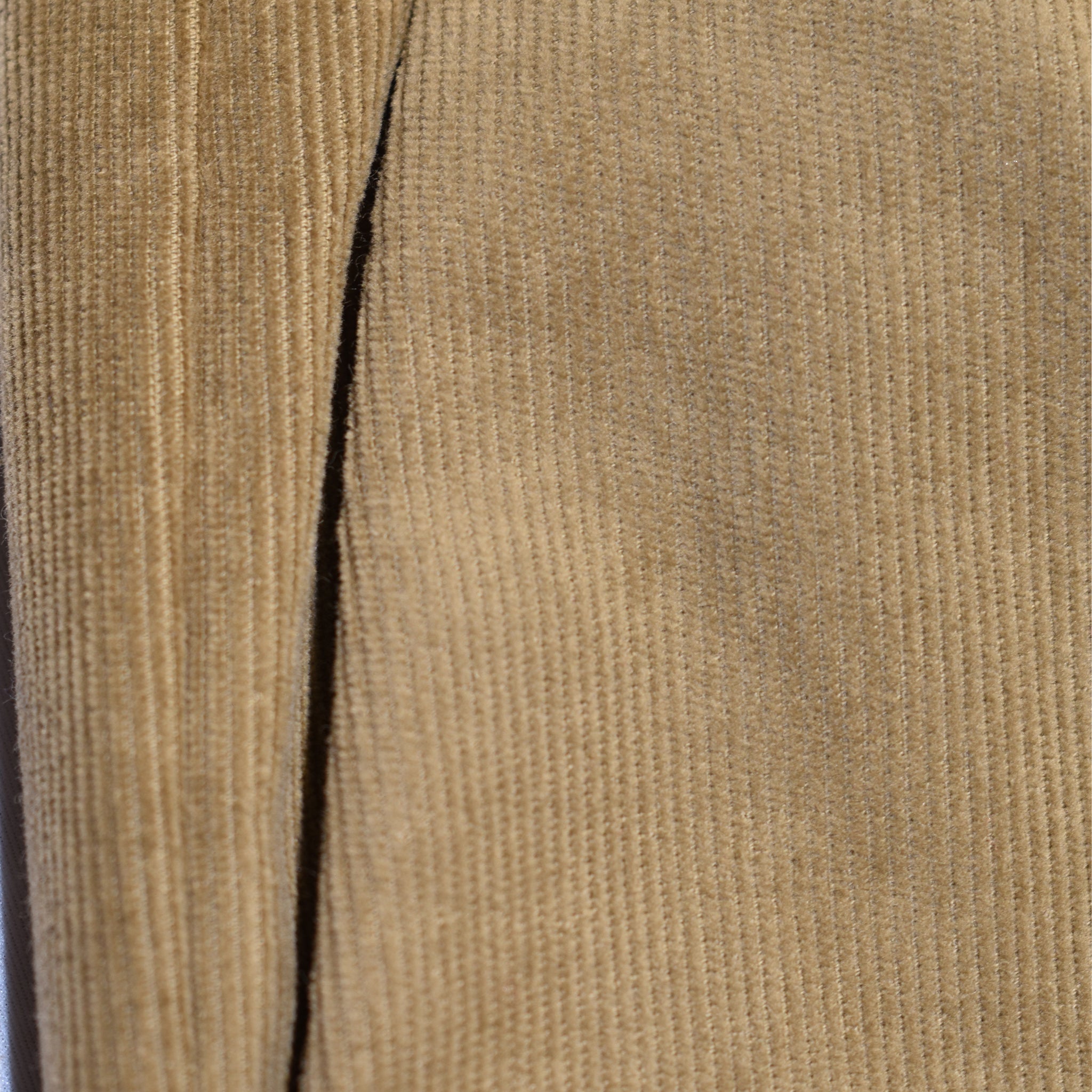 Pantavelluto beige - VALENSIA